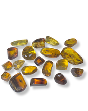 Load image into Gallery viewer, Amber with Bugs, Chiapas, Mexico
