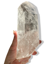 Load image into Gallery viewer, (1)Colossal Carbon Phantom Master Lemurian Seed, Minas Gerais, Brazil - Reserved💎