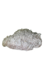 Load image into Gallery viewer, Extra Large Pink Faden Quartz Cluster with ChloritePlate, Santander, Colombia
