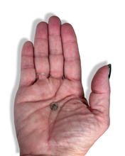 Load image into Gallery viewer, Pyrite Suns in Quartz Cabachon minis, Galileia, Minas Gerais, Brazil