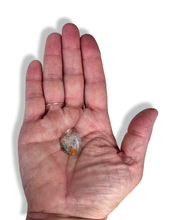 Load image into Gallery viewer, Pyrite Suns in Quartz Cabachon minis, Galileia, Minas Gerais, Brazil