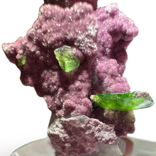 Load image into Gallery viewer, Rare Chromium Titanite with Amesite and Calcite, Saranovskii Mines, Perm Krai , Russia