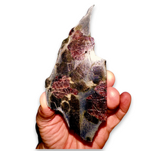 Load image into Gallery viewer, Garnet and Staurolite on Schist,