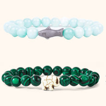 Load image into Gallery viewer, Animal Mission Tracker Bracelet, 100% Donation