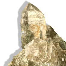 Load image into Gallery viewer, Extremely Rare Chlorite Himalayan Rutile Smoky Quartz Cluster, Meru Peak, India