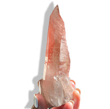 Load image into Gallery viewer, Large Pink Scarlet Temple Lemurian, Brazil