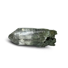 Load image into Gallery viewer, Chlorite Phantom Himalayan Samadhi Quartz Point, Meru Peak, India
