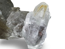 Load image into Gallery viewer, Naica Selenite, Saucillo, Chihuahua, Mexico

