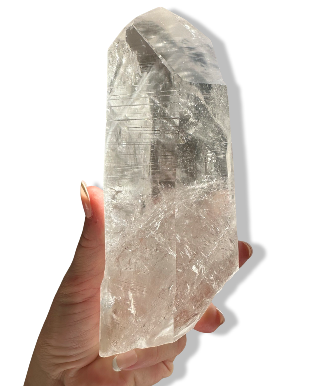 (8)Colossal Carbon Phantom Master Lemurian Seed, Minas Gerais, Brazil - Reserved💎