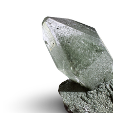 Load image into Gallery viewer, Chlorite Phantom Himalayan Samadhi Quartz Point, Meru Peak, India
