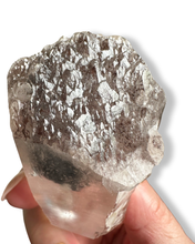 Load image into Gallery viewer, Elestial Carbon Phantom Master Lemurian Seed, Minas Gerais, Brazil
