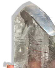 Load image into Gallery viewer, (16)Colossal Carbon Phantom Master Lemurian Seed, Minas Gerais, Brazil - Reserved💎
