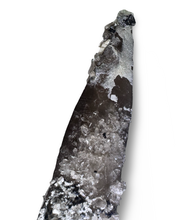 Load image into Gallery viewer, Tessin Habit Smoky Quartz with Hyalite Opal and Black Tourmaline, Erongo, Namibia, Africa
