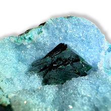 Load image into Gallery viewer, Druzy Chrysocolla &amp;  Gem Dioptase, DRC, Africa, L&#39;Etoile du Congo Mine

