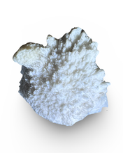 Load image into Gallery viewer, Green Apophyllite on Mordenite Matrix, Deccan Trap, Maharashtra, India
