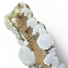 Load image into Gallery viewer, Apophyllite Zeolite Botryoidal Fluorite, India
