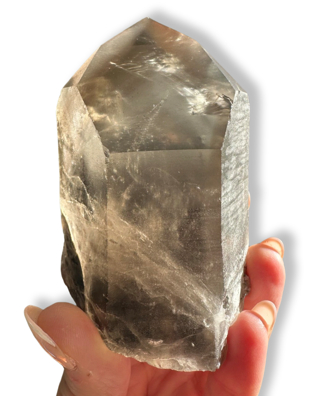 (2)Large Carbon Phantom Master Lemurian Seed, Minas Gerais, Brazil • Reserved