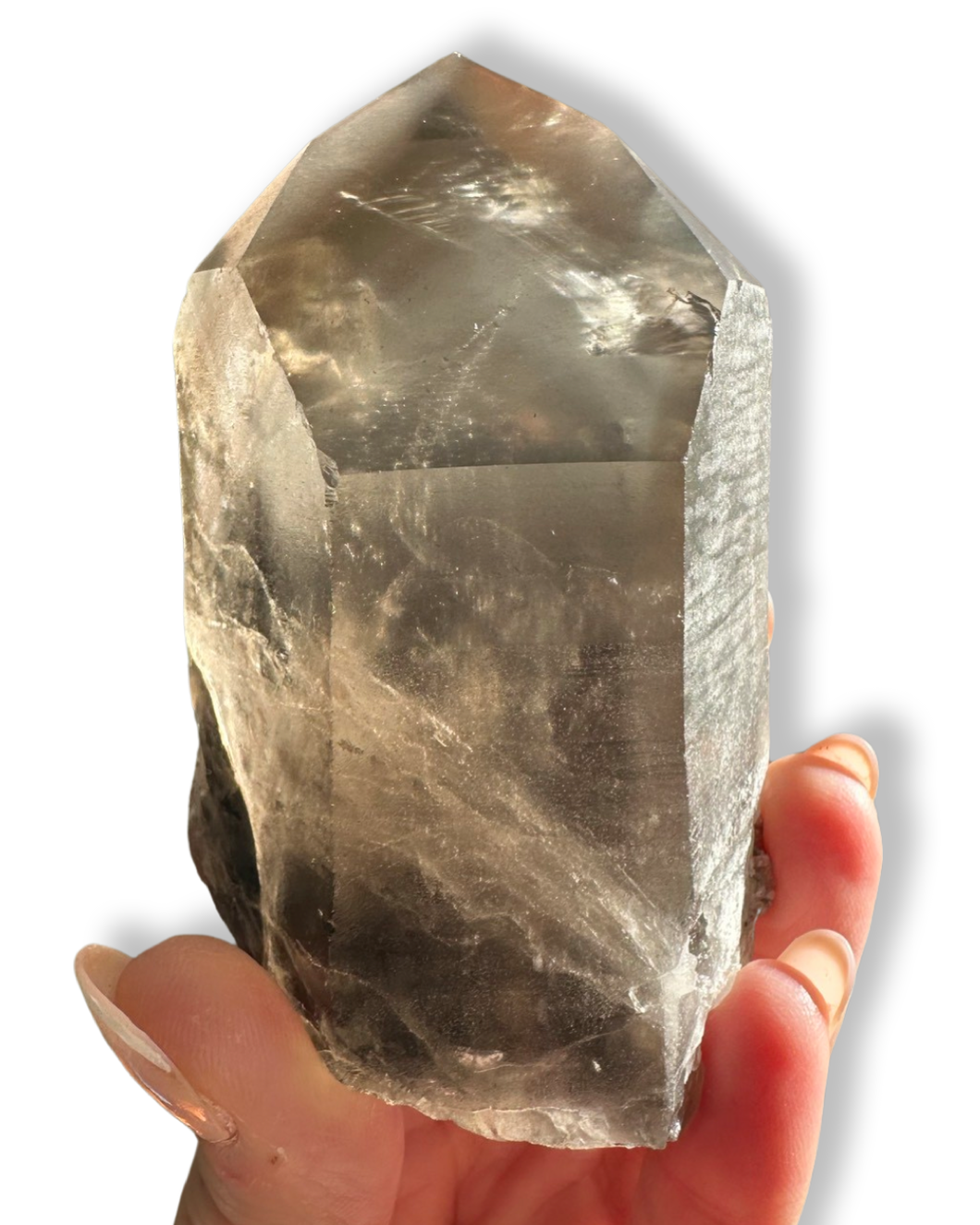(1) Large Carbon Phantom Master Lemurian Seed, Minas Gerais, Brazil • Reserved
