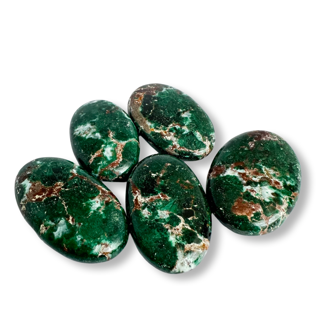 Australian Malachite Palm, Western Australia