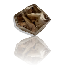 Load image into Gallery viewer, Polished Red Amphibole in Smoky Quartz, Gerais Minas, Brazil
