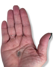 Load image into Gallery viewer, Pyrite Suns in Quartz Cabachon minis, Galileia, Minas Gerais, Brazil
