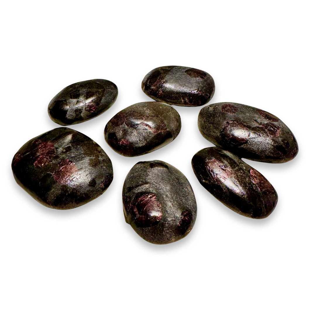 Garnet and Staurolite on Schist Palm,