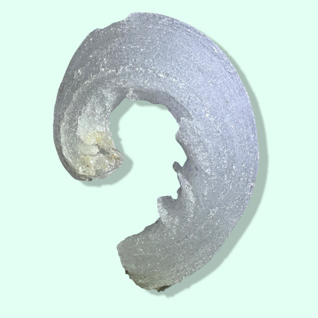 Fairy Wand - Rams’ Horn Selenite, Terlingua Mining District, Brewster, Texas, USA