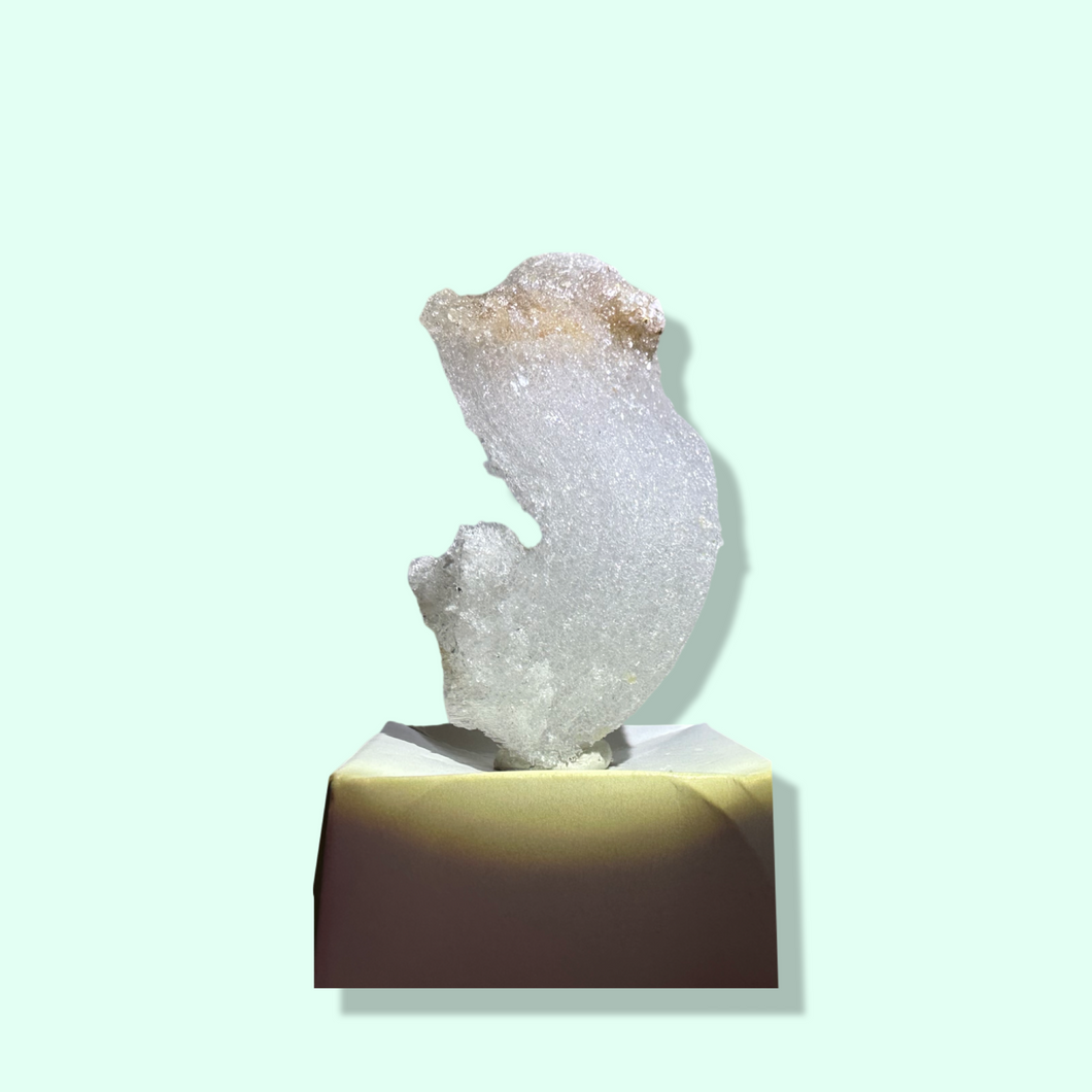 Fairy Wand - Rams’ Horn Selenite, Terlingua Mining District, Brewster, Texas, USA