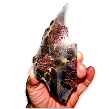 Load image into Gallery viewer, Garnet and Staurolite on Schist,
