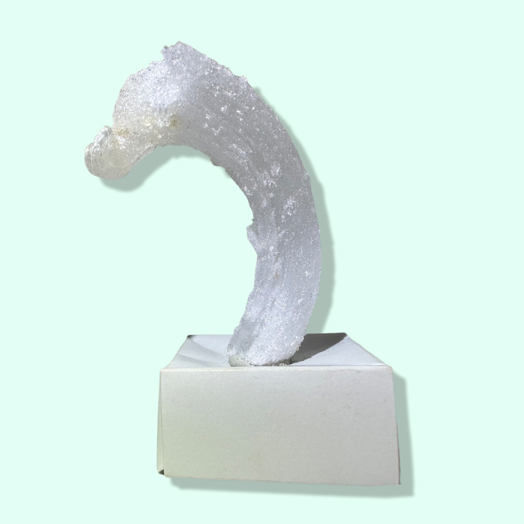 Fairy Wand - Rams’ Horn Selenite, Terlingua Mining District, Brewster, Texas, USA