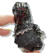 Load image into Gallery viewer, Black Samādhi Himalayan Quartz Pointed Cluster, Meru Peak, India
