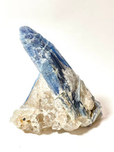 Load image into Gallery viewer, Extra Quality Blue Kyanite on Golden Healer, Gerais Minas, Brazil
