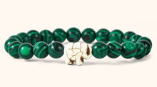 Load image into Gallery viewer, Animal Mission Tracker Bracelet, 100% Donation
