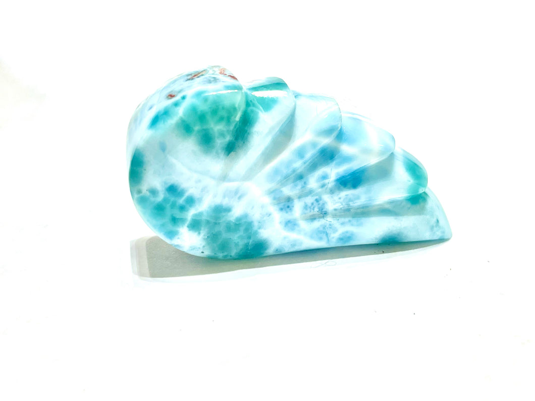 AAAA Grade Larimar Angel Wing, Barahona, Dominican Republic
