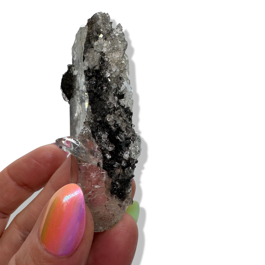 Black Samādhi Himalayan Quartz Pointed Cluster, Meru Peak, India