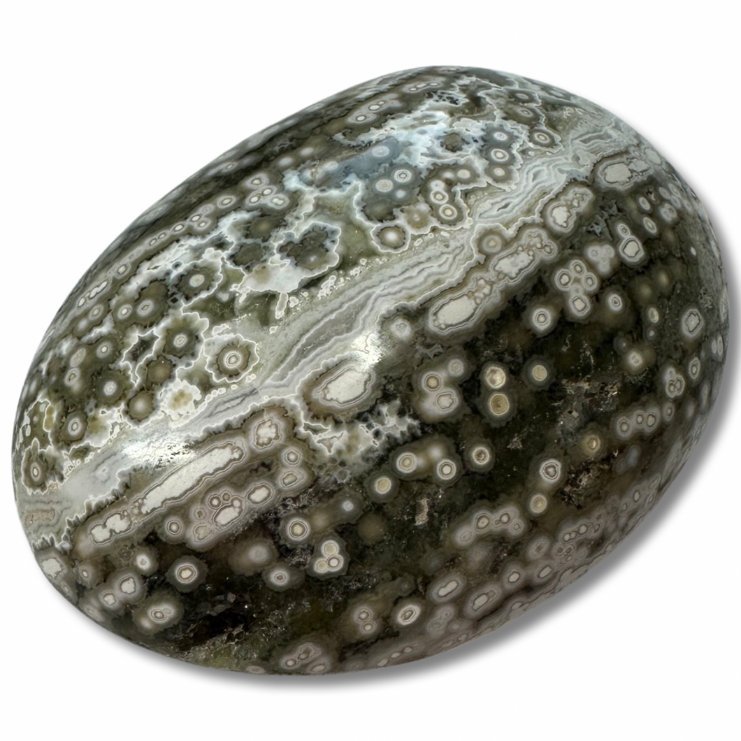 First Vein Orbicular Ocean Jasper Palm, Marovato Mines, Madagascar