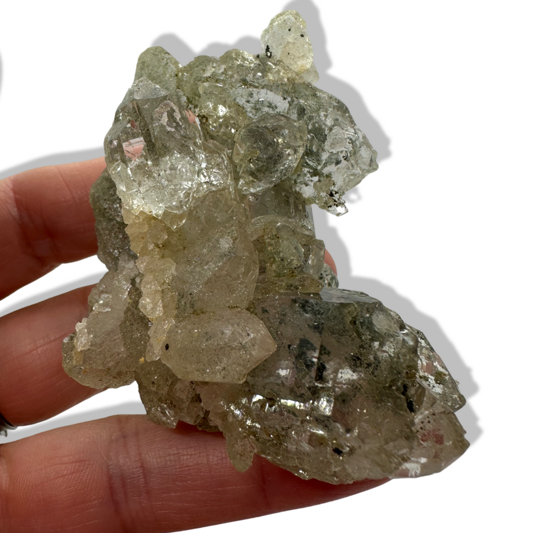 Chlorite Anatase ‘Gwindel’ Himalayan, Kullu Valley, India