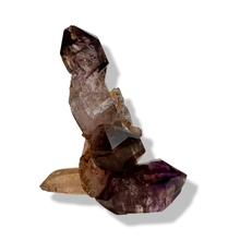 Load image into Gallery viewer, Sculptural Enhydro Smoky Shangaan Amethyst Scepter Clusters, Chibuku Mine, Zimbabwe
