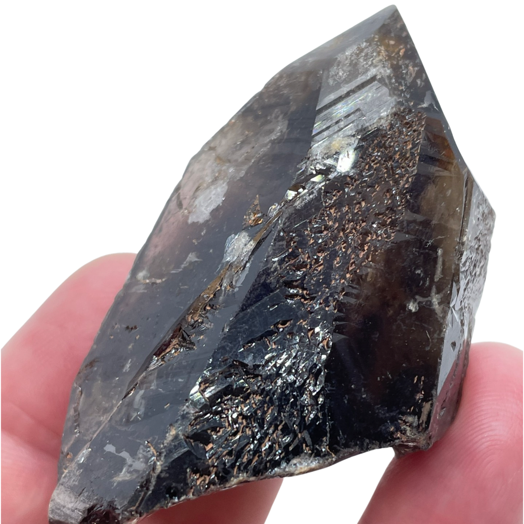 Aegerine in Smoky Quartz, Mt Malosa, Zomba Plateau, Malawi