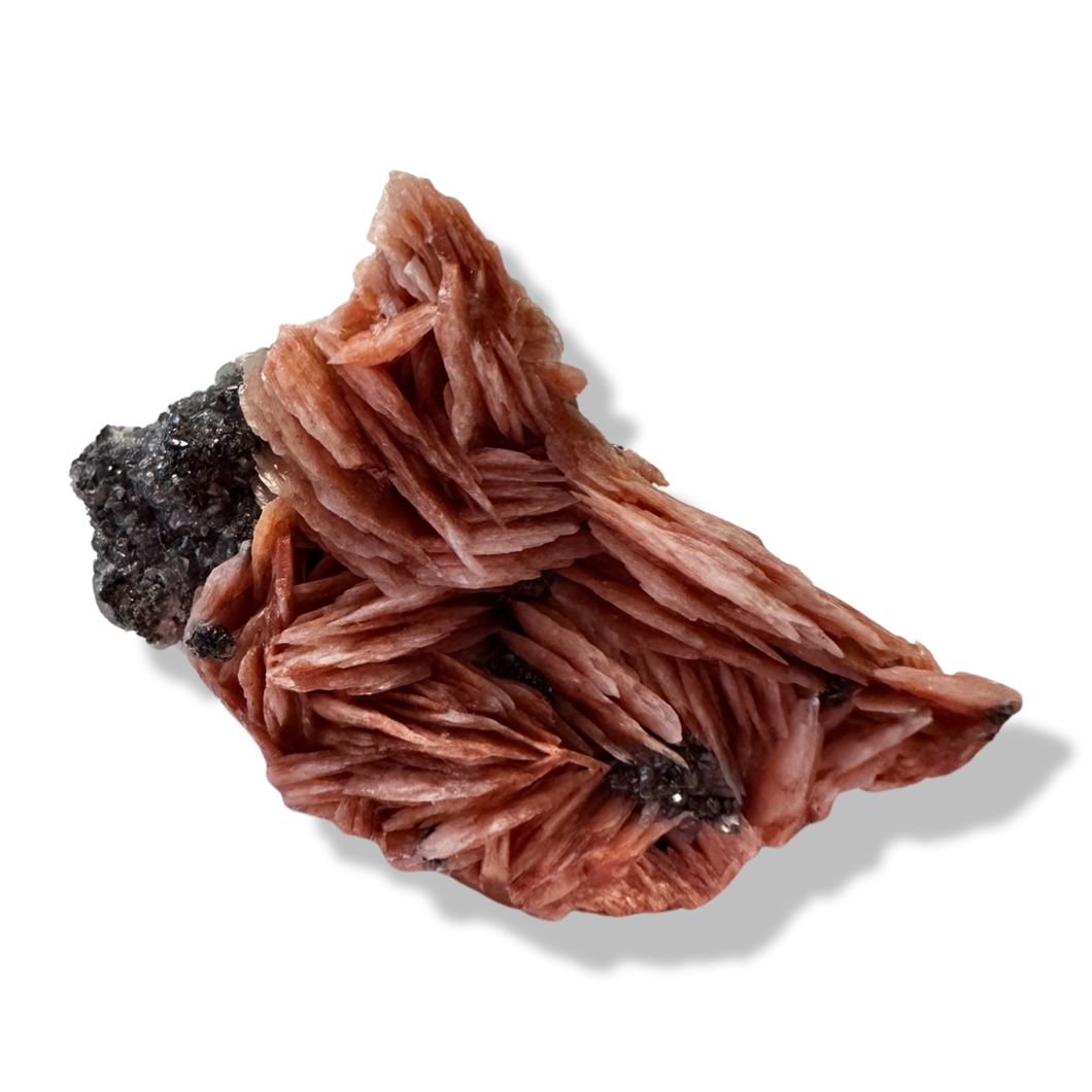 Barite, Cerrusite, Galena, Namibia