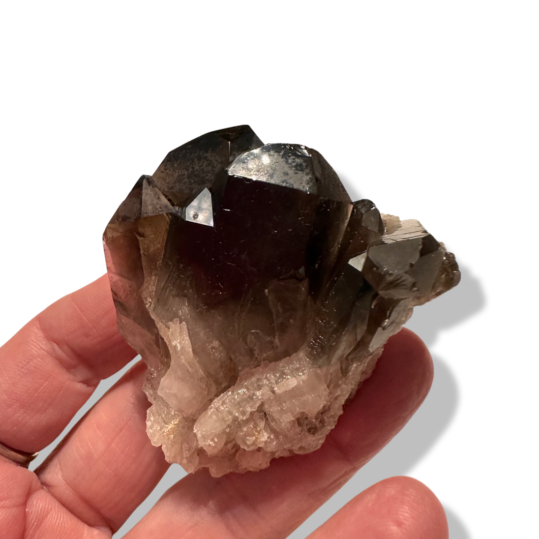 Smoky Quartz Cluster, Minas Gerais, Brazil
