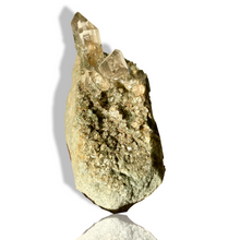 Load image into Gallery viewer, Extremely Rare Chlorite Himalayan Rutile Smoky  Quartz Cluster, Meru Peak, India
