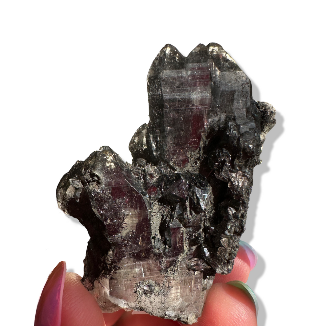 Black Samādhi Himalayan Quartz Pointed Cluster, Meru Peak, India