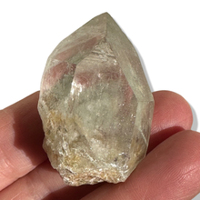 Load image into Gallery viewer, Record Keeper Rutile Chlorite Samādhi Himalayan Quartz, Meru Peak, India
