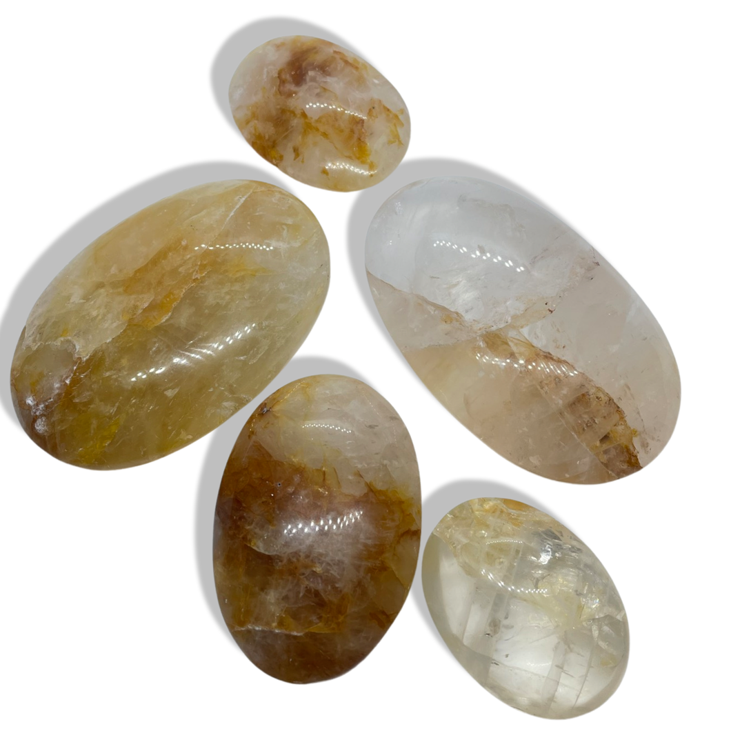 Golden Healer Palm, Minas Gerais, Brazil