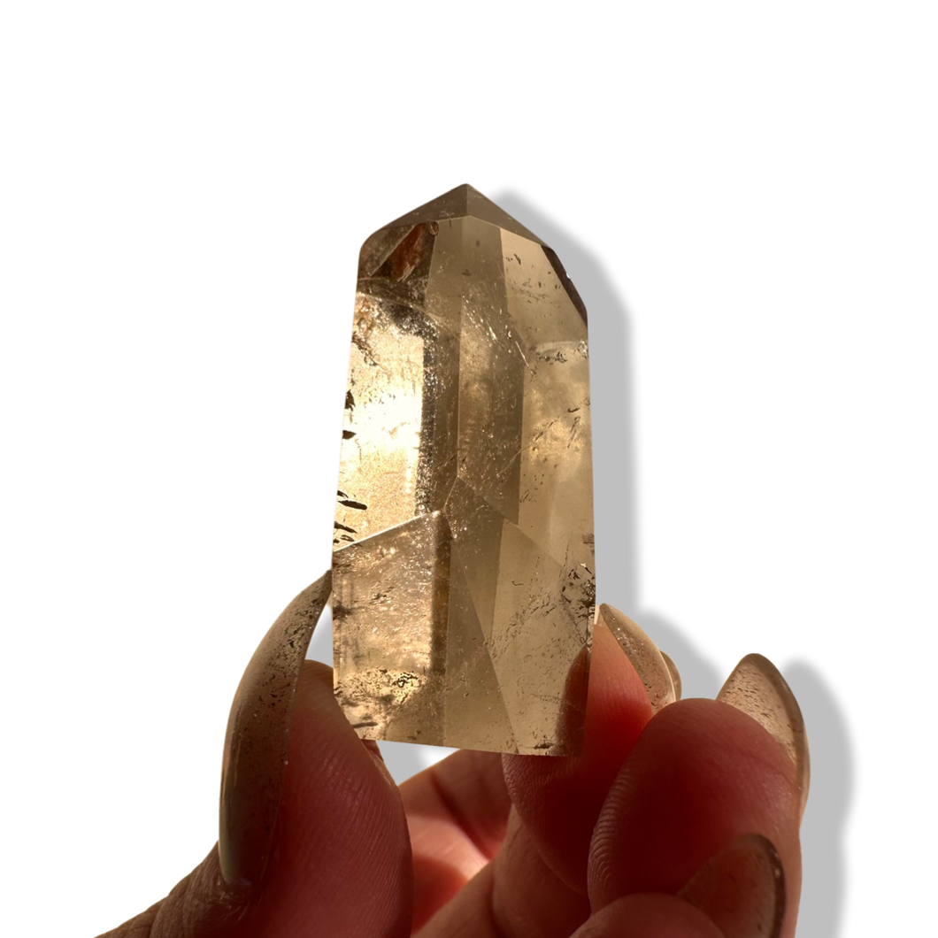 Smoky Chlorite Himalayan Freeform, Meru Peak, India