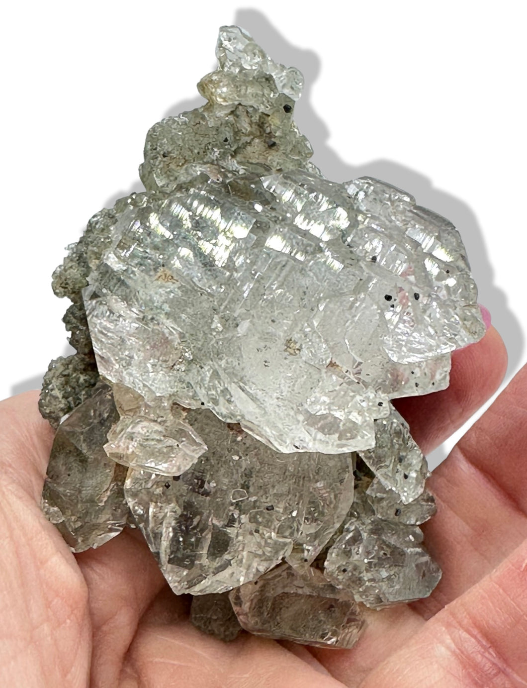 Himalayan Gwindel Quartz with Chlorite & Anatase, Kullu Valley, India
