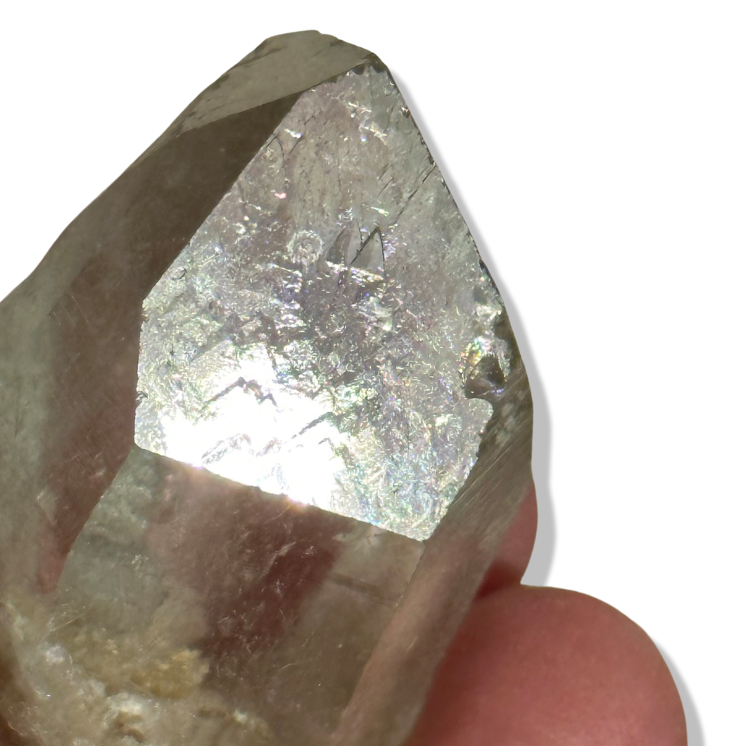 Record Keeper Rutile Chlorite Samādhi Himalayan Quartz, Meru Peak, India