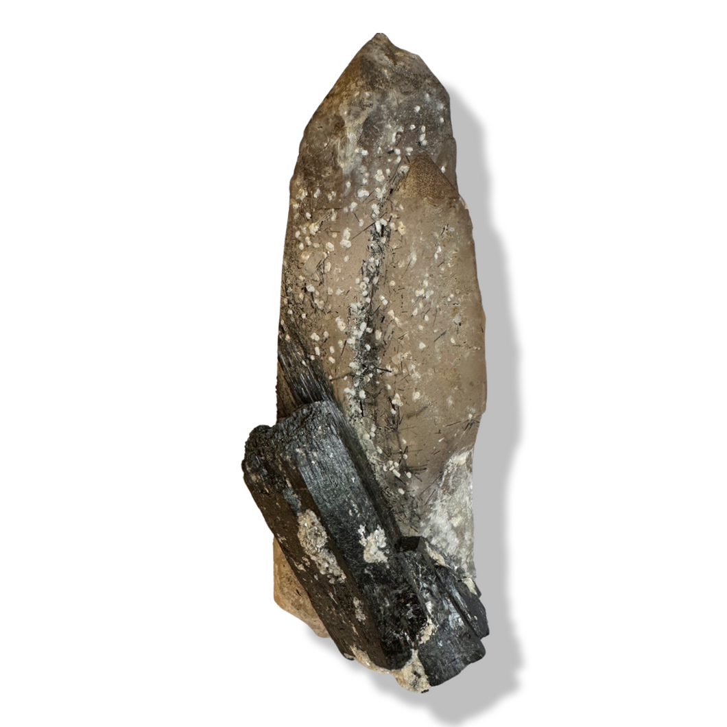 Black Tourmaline in Smoky Quartz, Malawi