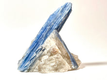 Load image into Gallery viewer, Extra Quality Blue Kyanite on Golden Healer, Gerais Minas, Brazil
